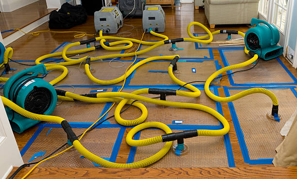 Professional Water Damage Restoration technician working in Hinkley, CA